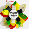 Pin Coloured Nevis Nice Pin-on