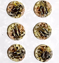GJW Earring Studs dc Tricolor Med